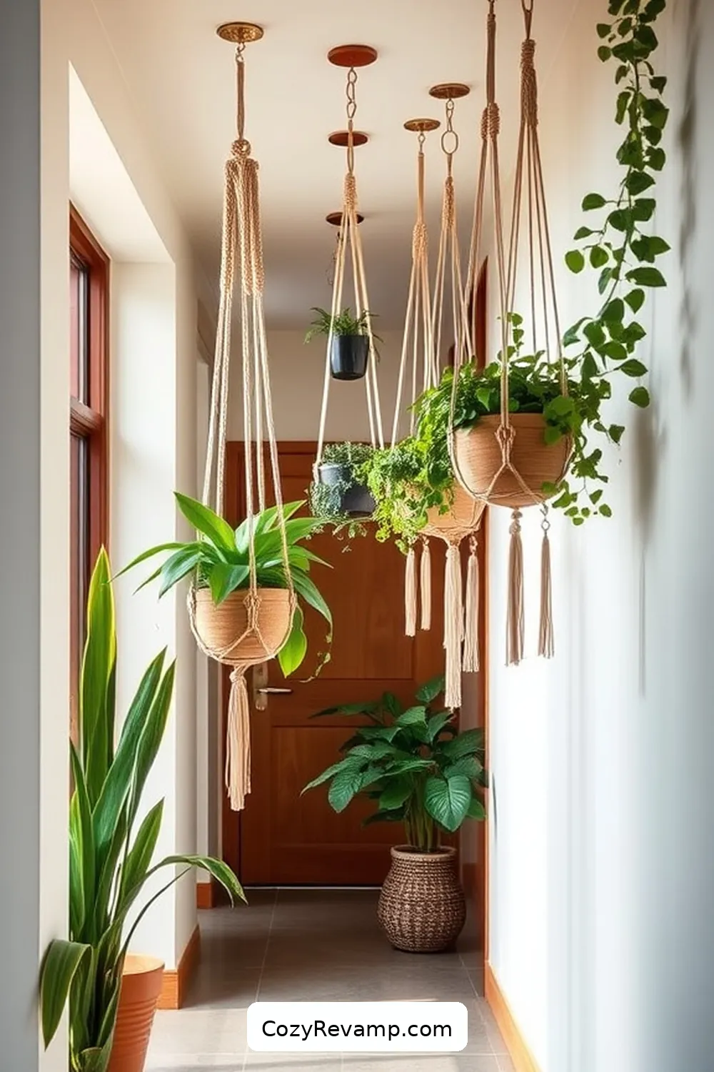 15 Ways to Use Natural Fibers in Your Mid-Century Modern Hallway 8 Display MacramΓ© Plant Hangers for 15 Ways to Use Natural Fibers in Your Mid-Century Modern Hallway