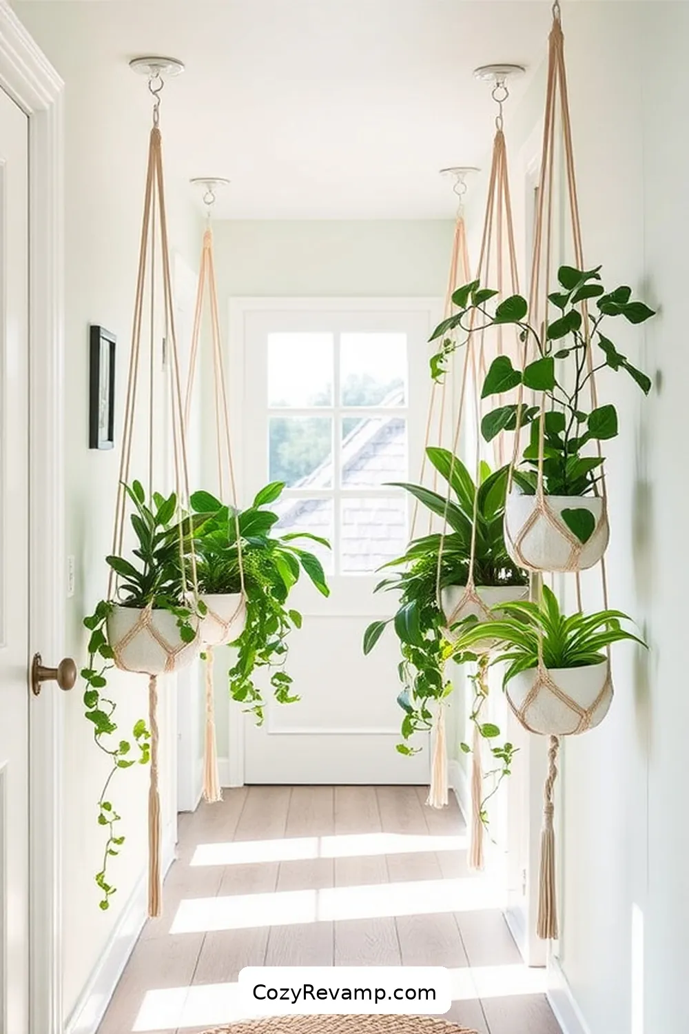 19 Ways to Style a Coastal Hallway With Organic Cotton Materials 20 Integrate Organic Cotton Plant Hangers for 19 Ways to Style a Coastal Hallway With Organic Cotton Materials