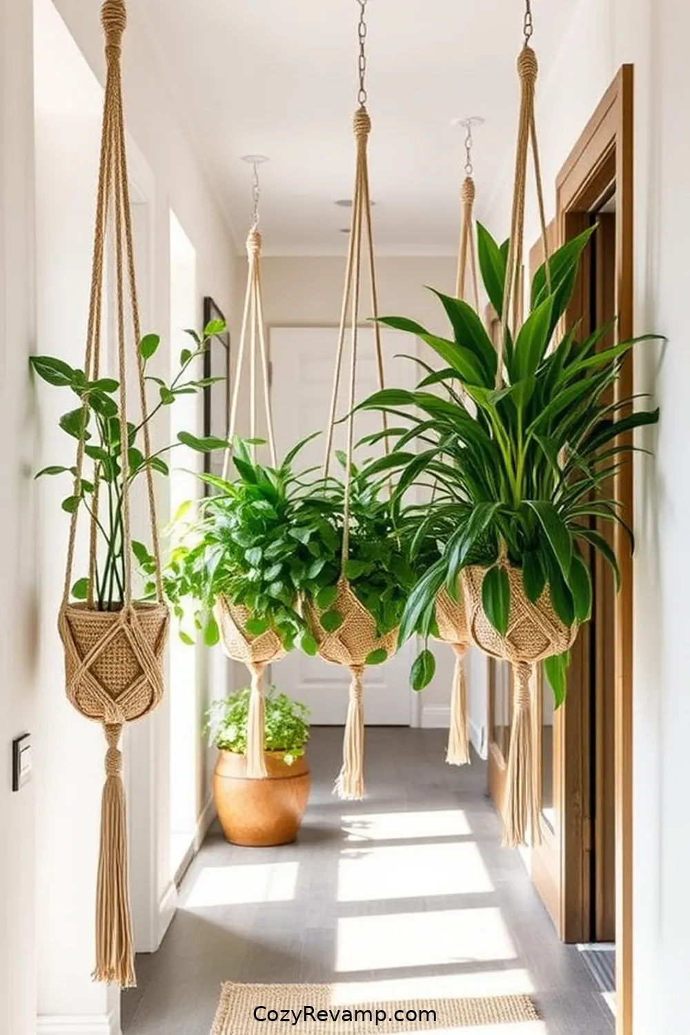 Natural Fiber Plant Hangers for Greenery for 24 Design Ideas for a Modern Farmhouse Hallway With Natural Fibers Material