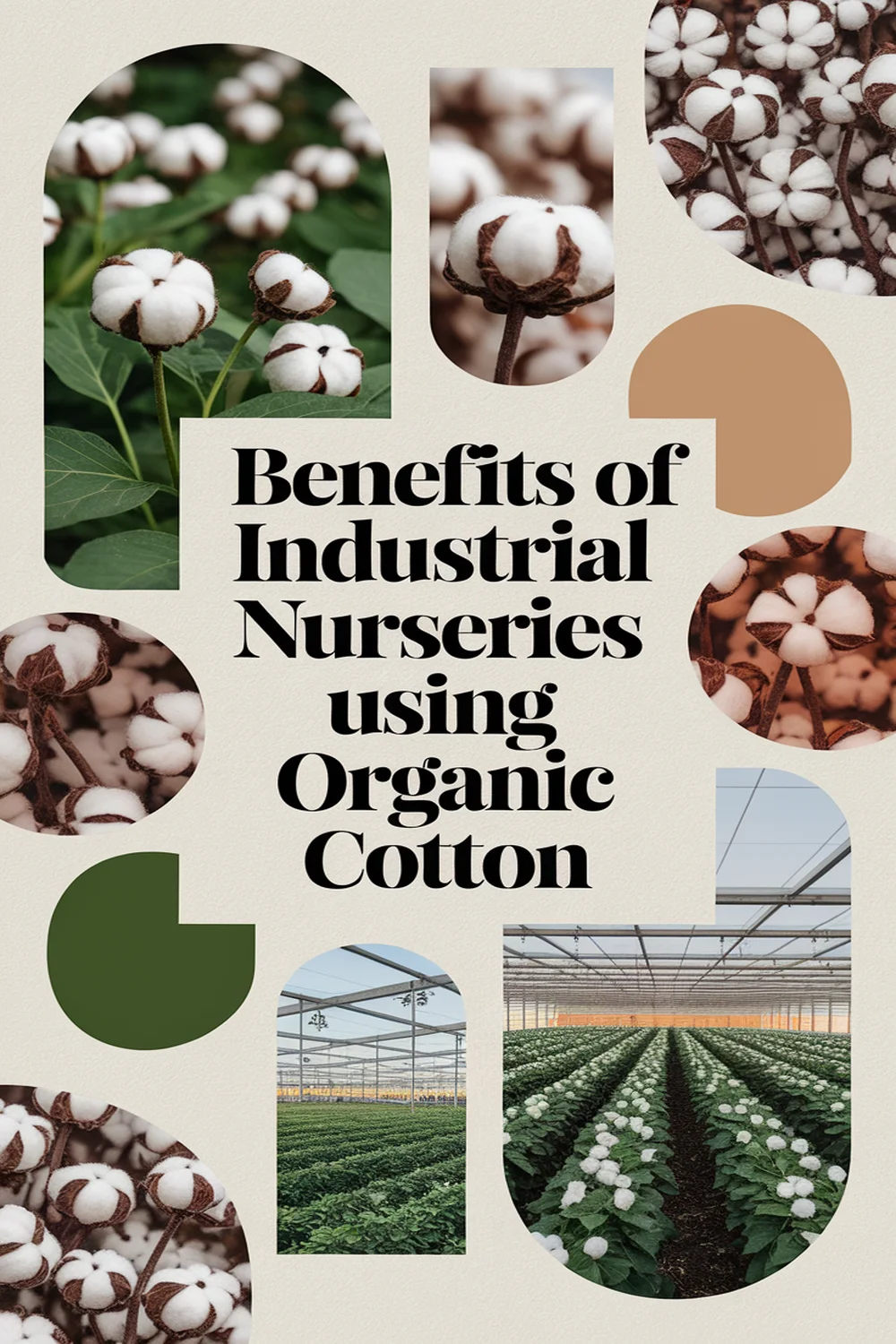Image for: Benefits of Industrial Nurseries Using Organic Cotton Material